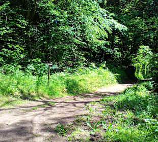 Wanderweg Sandsteinweg La Petite Pierre