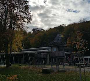 Blick auf den Baumwipfelpfad und Anlage