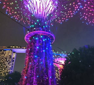 Skypark Marina Bay Sands