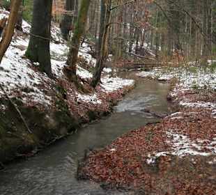 Bachlauf in der Nähe Lützenkirchens