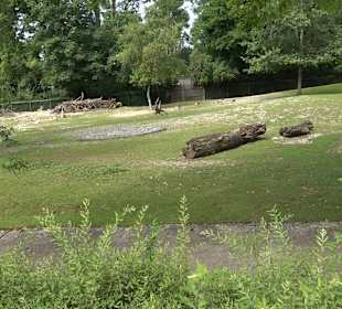 Tierpark Hellabrunn