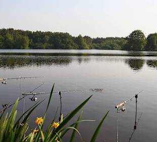 Angeln an der Thülsfelder Talsperre