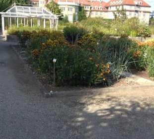 Botanischer Garten München