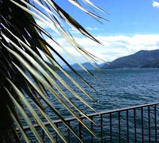 Promenade Brissago