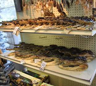 Souvenirshop Gator Park
