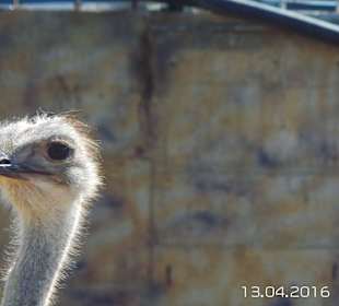 Discovery Park Manavgat