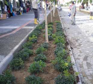 So wird Kumköy verschönert