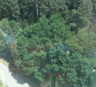 Imagination - Aussichtsturm