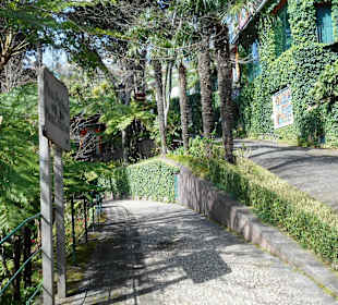 Monte Palace Tropical Garden
