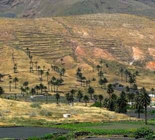Haria - Tal der 1000 Palmen