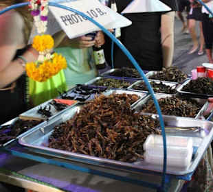 Khaosan Road in Bangkok