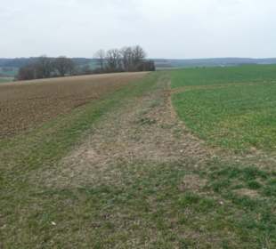 Eindrücke von unserer Wanderung Schalksbergweg