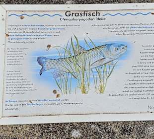 Fischlehrpfad