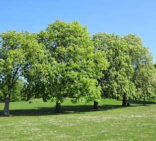 Rundgang durch den Prinz-Albrecht-Park
