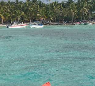Isla Saona
