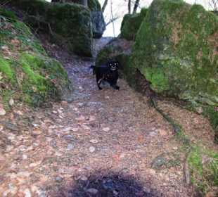 Wanderweg entlang Pottenstein