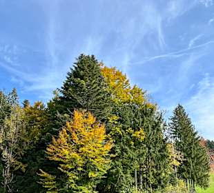 Wandern Oberstaufen