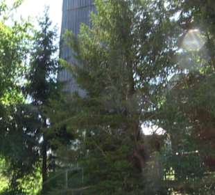 Naturerlebnispfad Sternberg