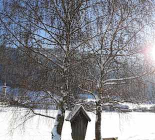 Skigebiet Glungezer