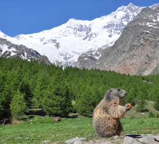 Wandern Saas Fee