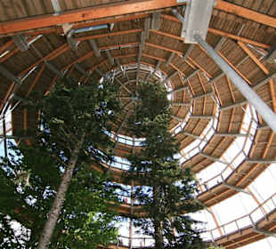 Baumwipfelpfad in Neuschönau