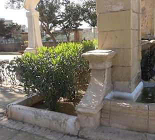 The Mall Gardens