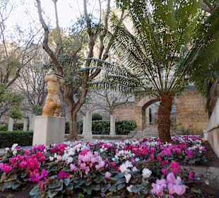 Frühlingserwachen, März 2017