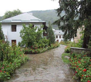 Mănăstirea Cozia