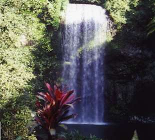 Millaa Millaa Falls