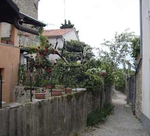 Gesehen beim Rundgang in Groznjan.