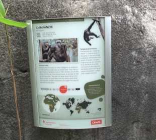 Tierpark Hellabrunn - Welt der Affen