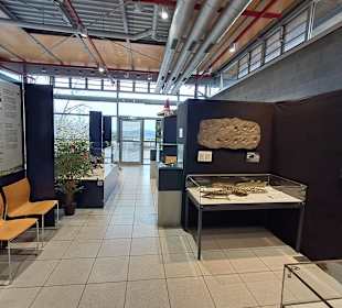 Geoskop in Thallichtenberg