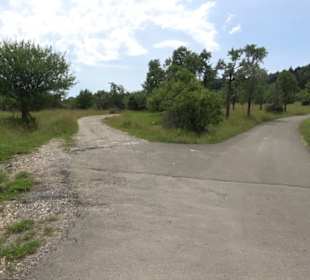 Premiumspazierweg Früchtetrauf-Leisawegle