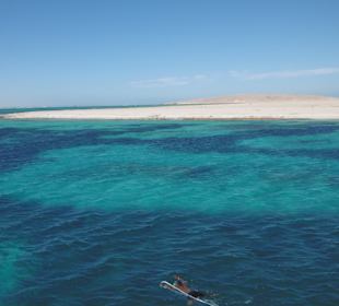 Giftun / Mahmya Inseln