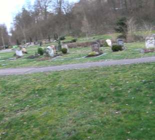 Friedhof Neckartenzlingen