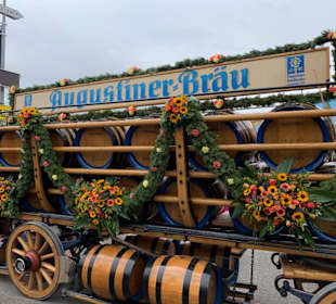 Augustiner