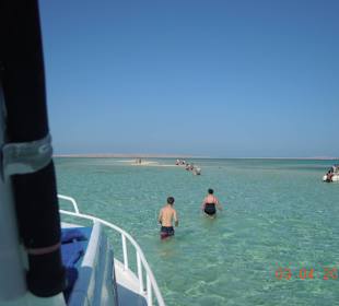 Schnorchel Ausflug TOP