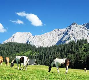 Zugspitze