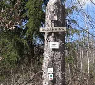 GeologGeologischer Lehrischer Lehrpfad Kirnbachtal