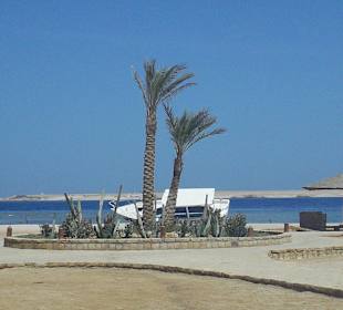 Sharm el Naga