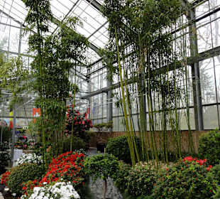 Japanisches Gewächshaus