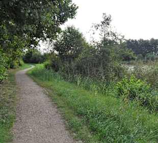 Impressionen vom Rundweg um den Weichelsee