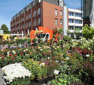 Markttreiben am Sedanplatz