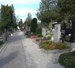 Haupt- und Waldfriedhof