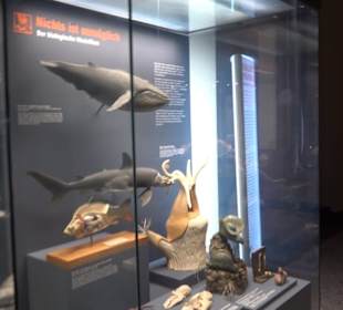 Museum der Naturkunde
