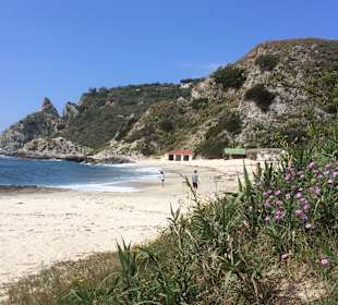 Capo Vaticano