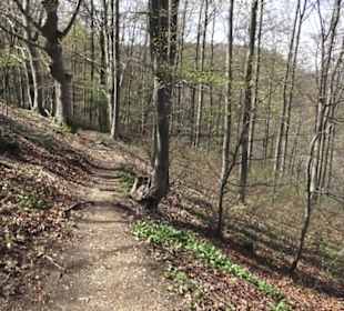 Wanderweg Hochgehkämpft