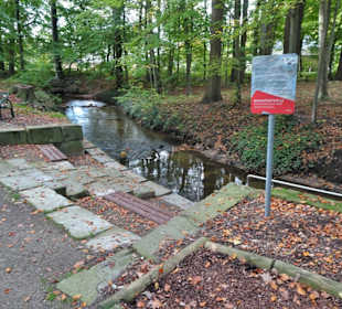 Die Wassertretstelle am Aabach im Stadtpark
