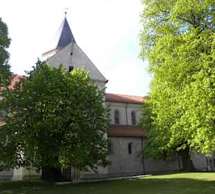 Kaiser-Lothar-Linde, Königslutter 