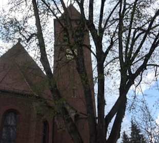 Pfarrkirche St. Ulrich